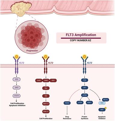 Case report: Precision guided reactive cancer management: molecular complete response in heavily pretreated metastatic CRC by dual immunotherapy and sorafenib